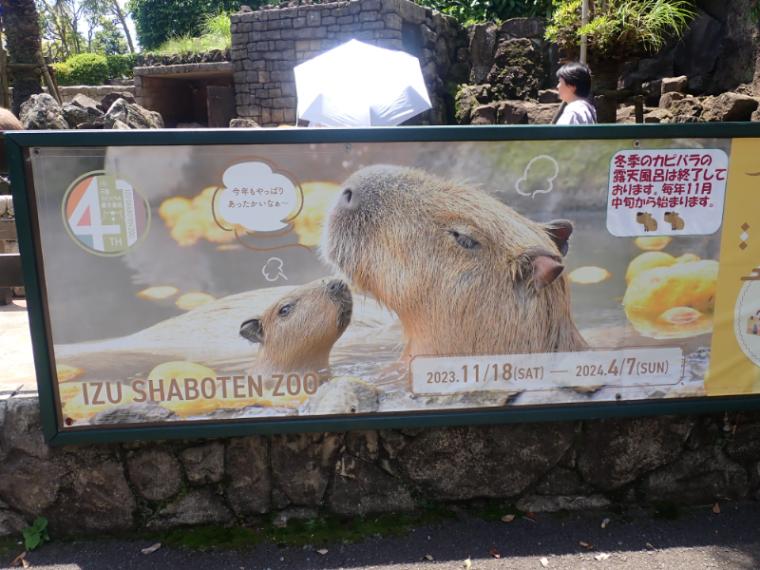 【静岡県伊東市・伊豆シャボテン動物公園】放し飼いの動物も! “距離感ゼロ”で新感覚 おやつあげ体験してきました