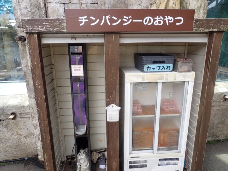 【静岡県伊東市・伊豆シャボテン動物公園】放し飼いの動物も! “距離感ゼロ”で新感覚 おやつあげ体験してきました