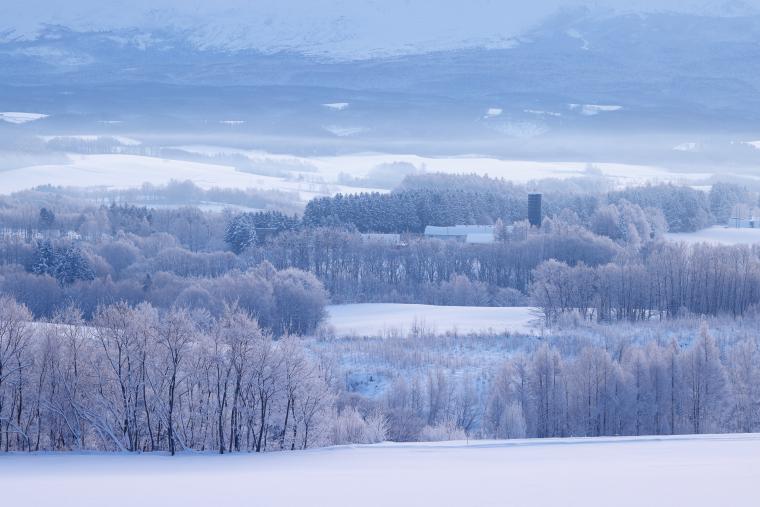 ジェットコースターの道