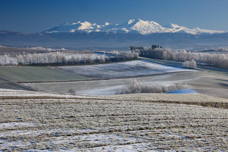 ジェットコースターの道