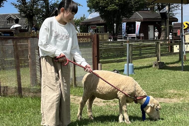 らくのうマザーズ 阿蘇ミルク牧場