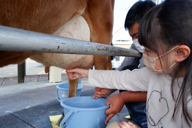 らくのうマザーズ 阿蘇ミルク牧場