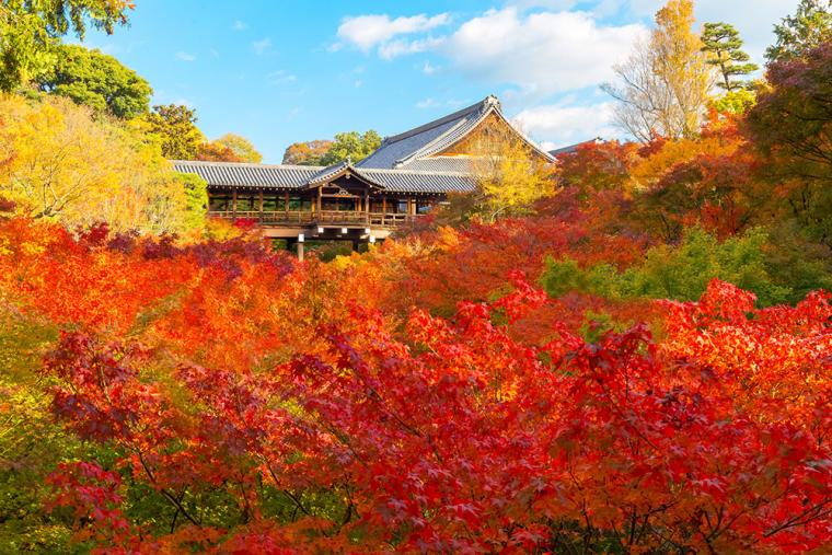 東福寺 紅葉