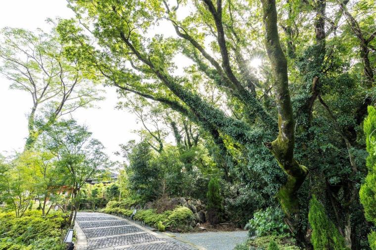 源翠瓏（げんすいろう）