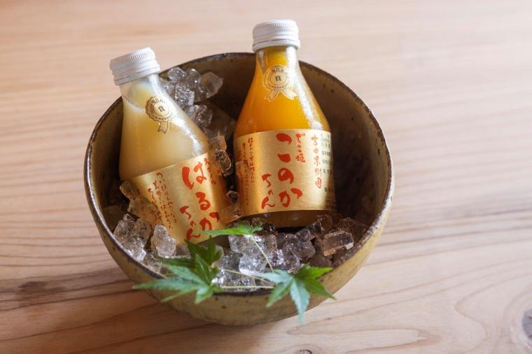 源翠瓏（げんすいろう）