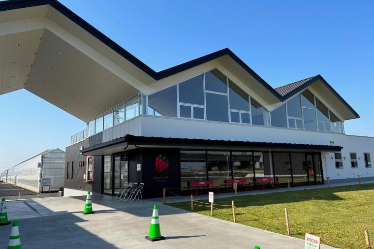 芋好きの聖地！「道の駅常総」でゲットしたいさつまいもグルメ