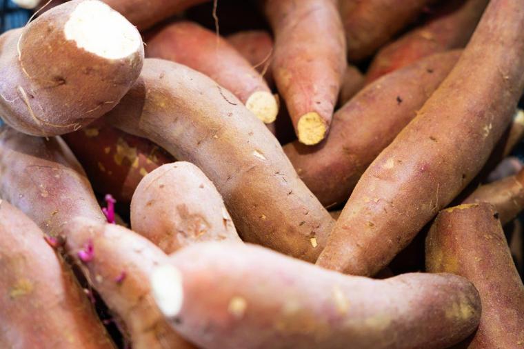 芋好きの聖地！「道の駅常総」でゲットしたいさつまいもグルメ