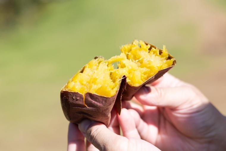 芋好きの聖地！「道の駅常総」でゲットしたいさつまいもグルメ