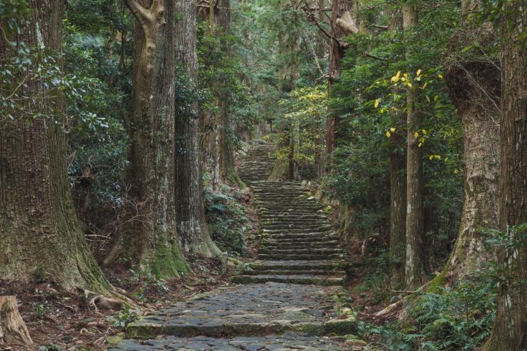 熊野古道の大門坂