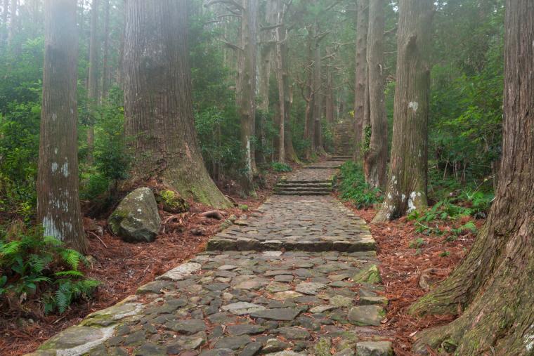 熊野古道の大門坂