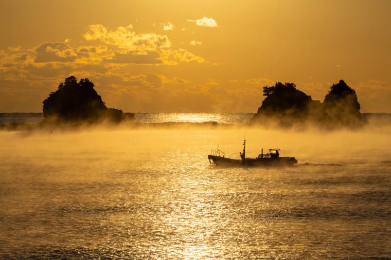海霧と船