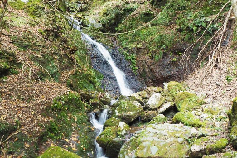 日蓮宗 知見山 正法寺