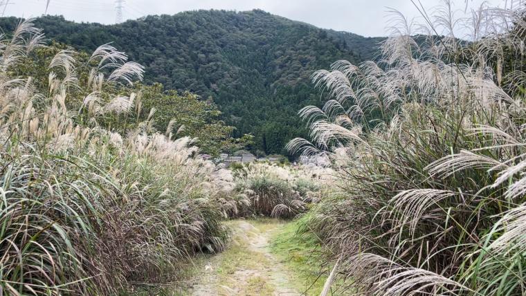 美山町・イメージ