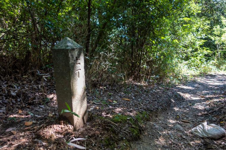 奈良斑鳩「門前宿 和空 法隆寺」に歴史と里山を巡る新感覚のトレイル宿泊プラン登場