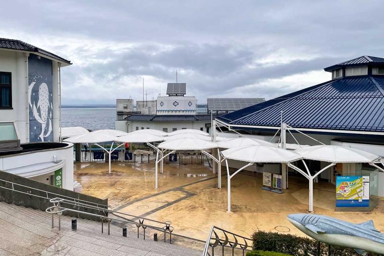のとじま水族館