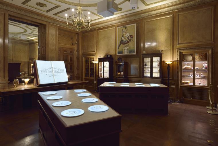 スタディベース・カカオポッド