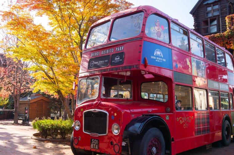 中庭（ローズガーデン）