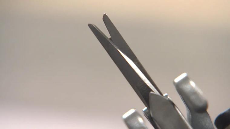 富山・高岡古城公園近く！オリジナルラグが作れるタフティング体験【NIJIWOTUKURU】