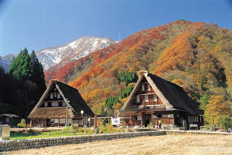 【庄川峡遊覧船】秋は紅葉、冬は雪景色…子供も飽きない富山の絶景おでかけ
