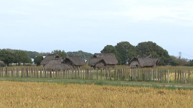 【大分】最古の映えスポット？弥生時代のテーマパークが大分にあった