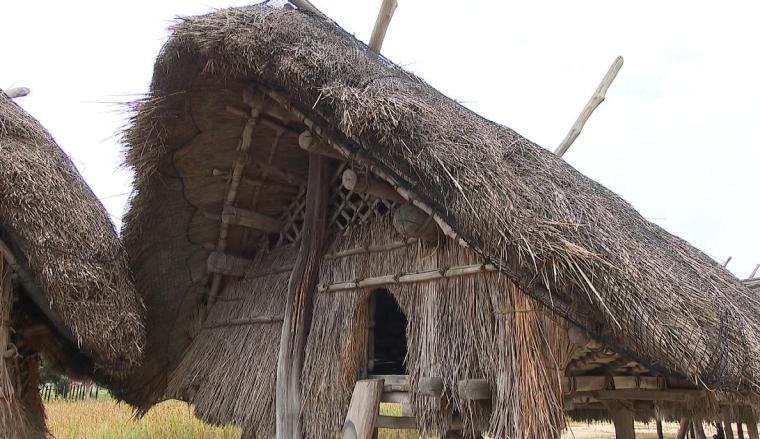 【大分】最古の映えスポット？弥生時代のテーマパークが大分にあった