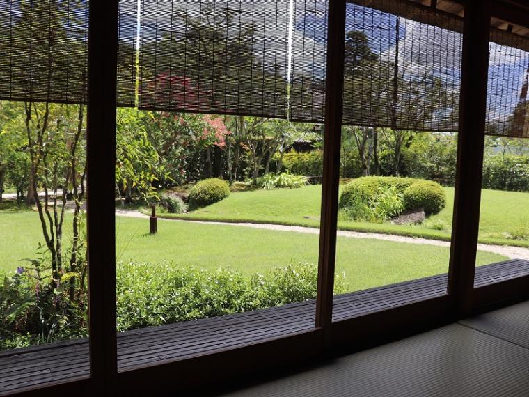 【静岡県掛川市・二の丸茶室】藤井聡太さんも対局した部屋でお茶を堪能