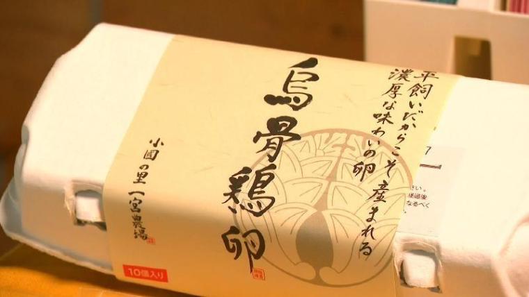 【静岡県森町・うこっけい苑】ウコッケイの卵かけご飯専門店で“最上級の味”を知ってしまう