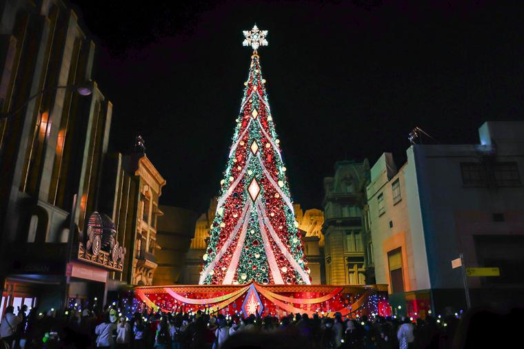 USJ クリスマスツリー2024