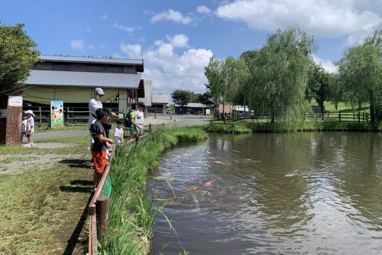 阿蘇らくのうマザーズ阿蘇ミルク牧場