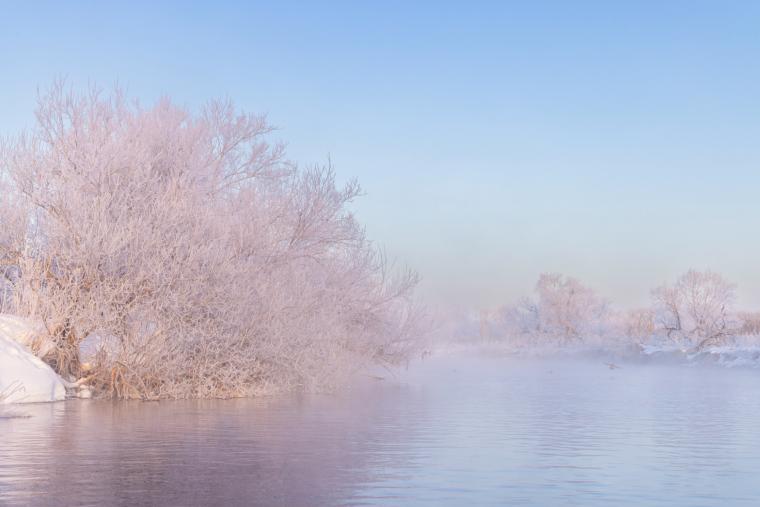 アレキナイ川の霧氷
