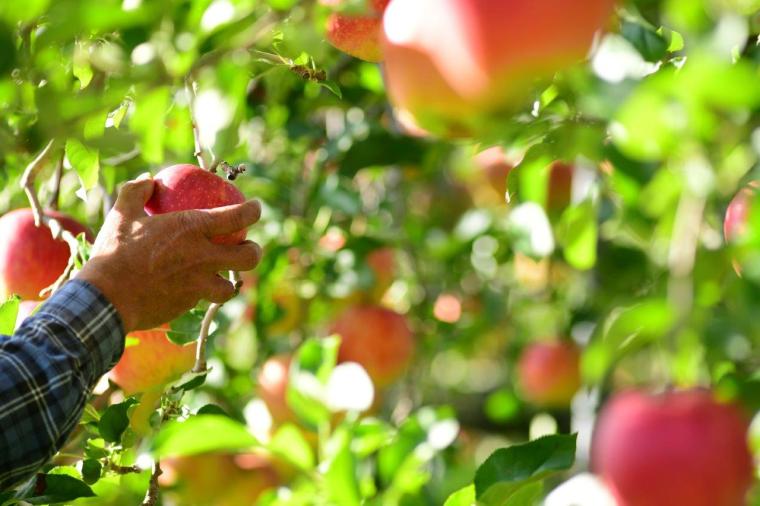 グルメと自然体験と温泉。群馬県川場村へ日帰り旅