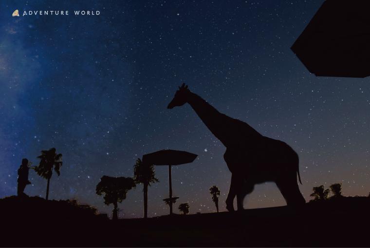 アドベンチャーワールド「ナイトサファリハイキング」