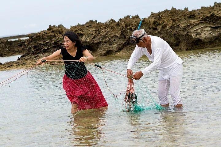 鹿児島県天城町「伝泊」追い込み漁体験