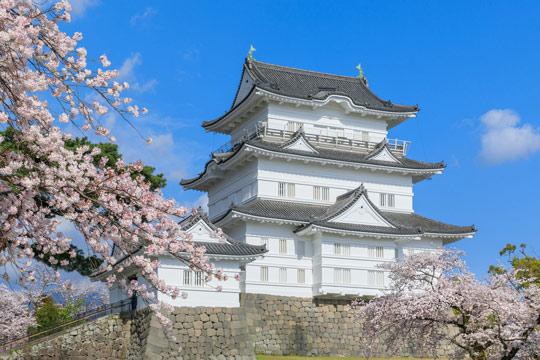 小田原城（神奈川）
