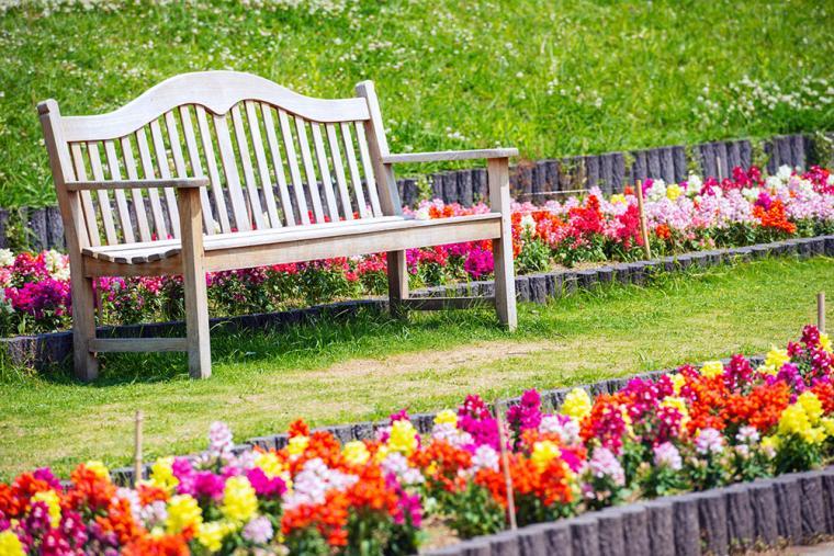 大阪市・長居植物園3