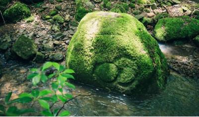 世界遺産の森に佇む一軒宿「奈良・春日奥山 月日亭」客室がモダンな和洋室にリニューアル