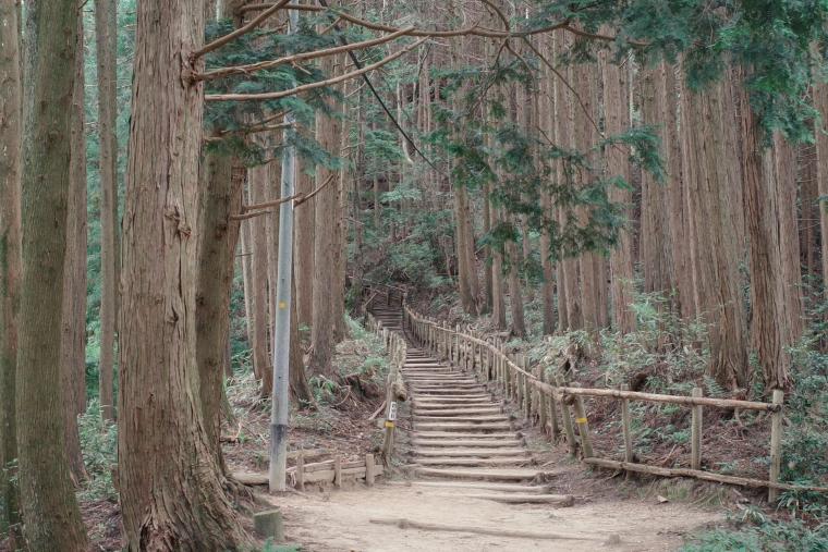 金剛山（大阪・奈良）
