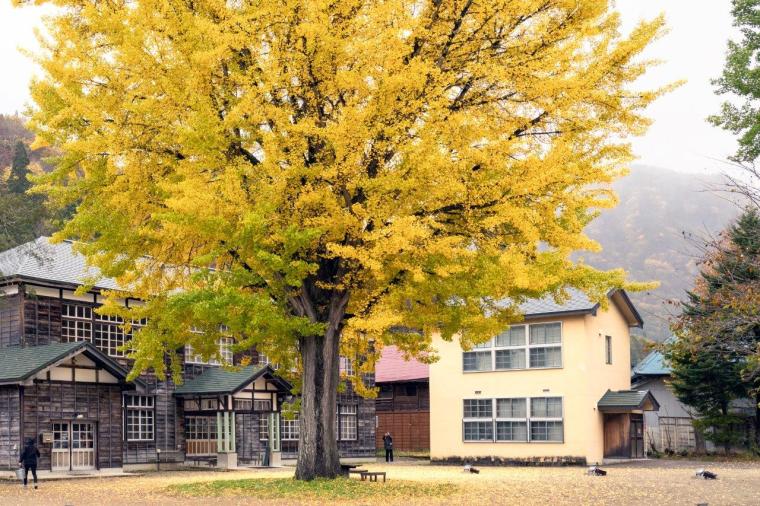 蕎麦カフェSCHOLA