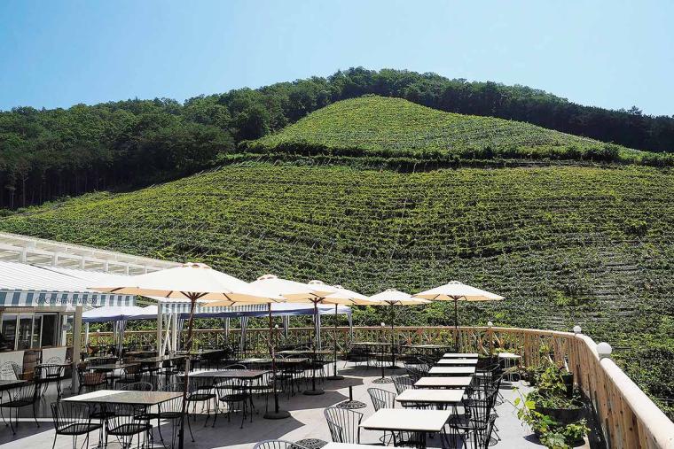 ココ・ファーム・ワイナリー