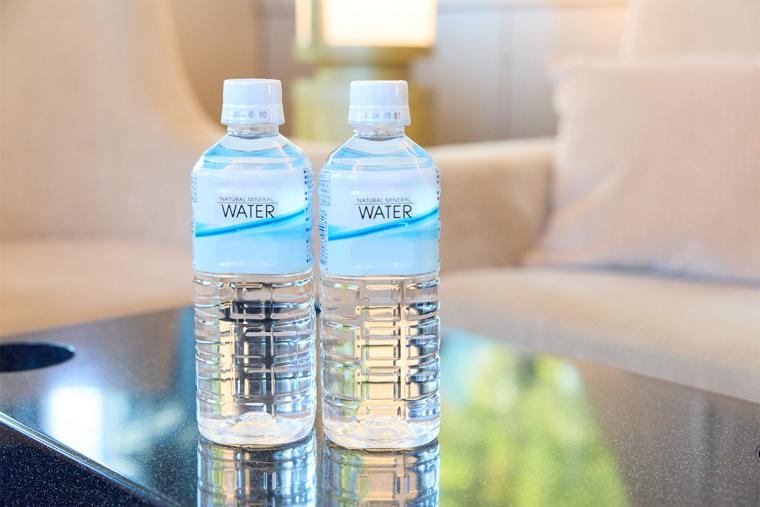 東武特急スペーシアX