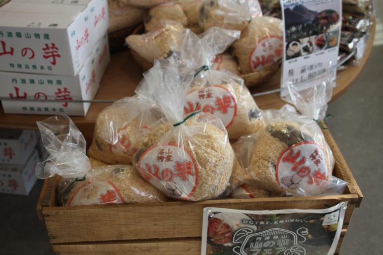 丹波篠山モデルコース