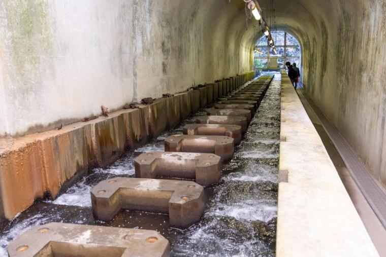 白丸調整池ダム