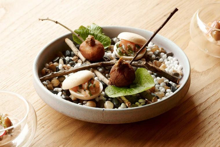 （さとローグ）Satologue