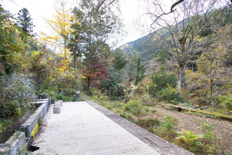 Satologue（さとローグ）Satologue