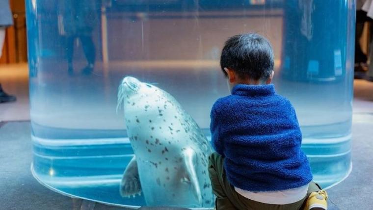 “日本最北”動物園の知る人ぞ知る「穴場スポット」で新しい発見を！子ども連れに絶対おすすめのルートも獣医師ママライターが伝授｜北海道・旭山動物園の楽しみ方／前編】