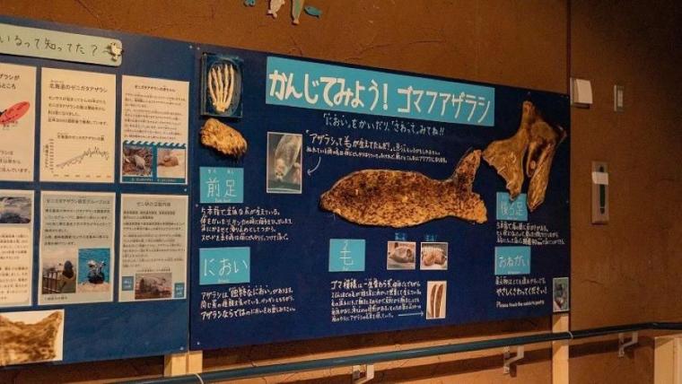 “日本最北”動物園の知る人ぞ知る「穴場スポット」で新しい発見を！子ども連れに絶対おすすめのルートも獣医師ママライターが伝授｜北海道・旭山動物園の楽しみ方／前編】