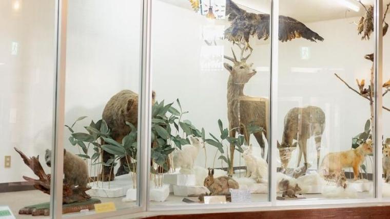 “日本最北”動物園の知る人ぞ知る「穴場スポット」で新しい発見を！子ども連れに絶対おすすめのルートも獣医師ママライターが伝授｜北海道・旭山動物園の楽しみ方／前編】