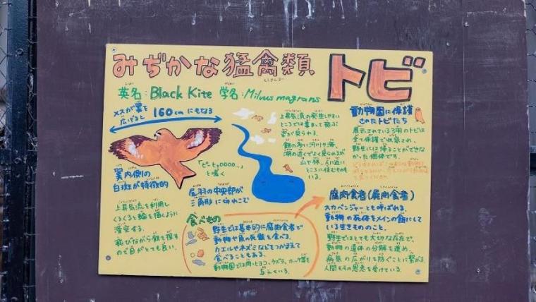 “日本最北”動物園の知る人ぞ知る「穴場スポット」で新しい発見を！子ども連れに絶対おすすめのルートも獣医師ママライターが伝授｜北海道・旭山動物園の楽しみ方／前編】
