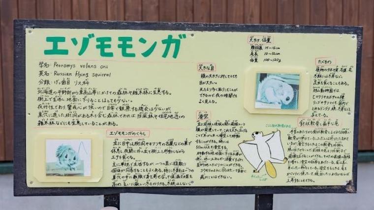“日本最北”動物園の知る人ぞ知る「穴場スポット」で新しい発見を！子ども連れに絶対おすすめのルートも獣医師ママライターが伝授｜北海道・旭山動物園の楽しみ方／前編】