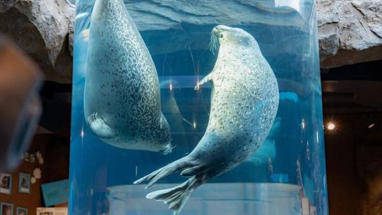 “日本最北”動物園の知る人ぞ知る「穴場スポット」で新しい発見を！子ども連れに絶対おすすめのルートも獣医師ママライターが伝授｜北海道・旭山動物園の楽しみ方／前編】